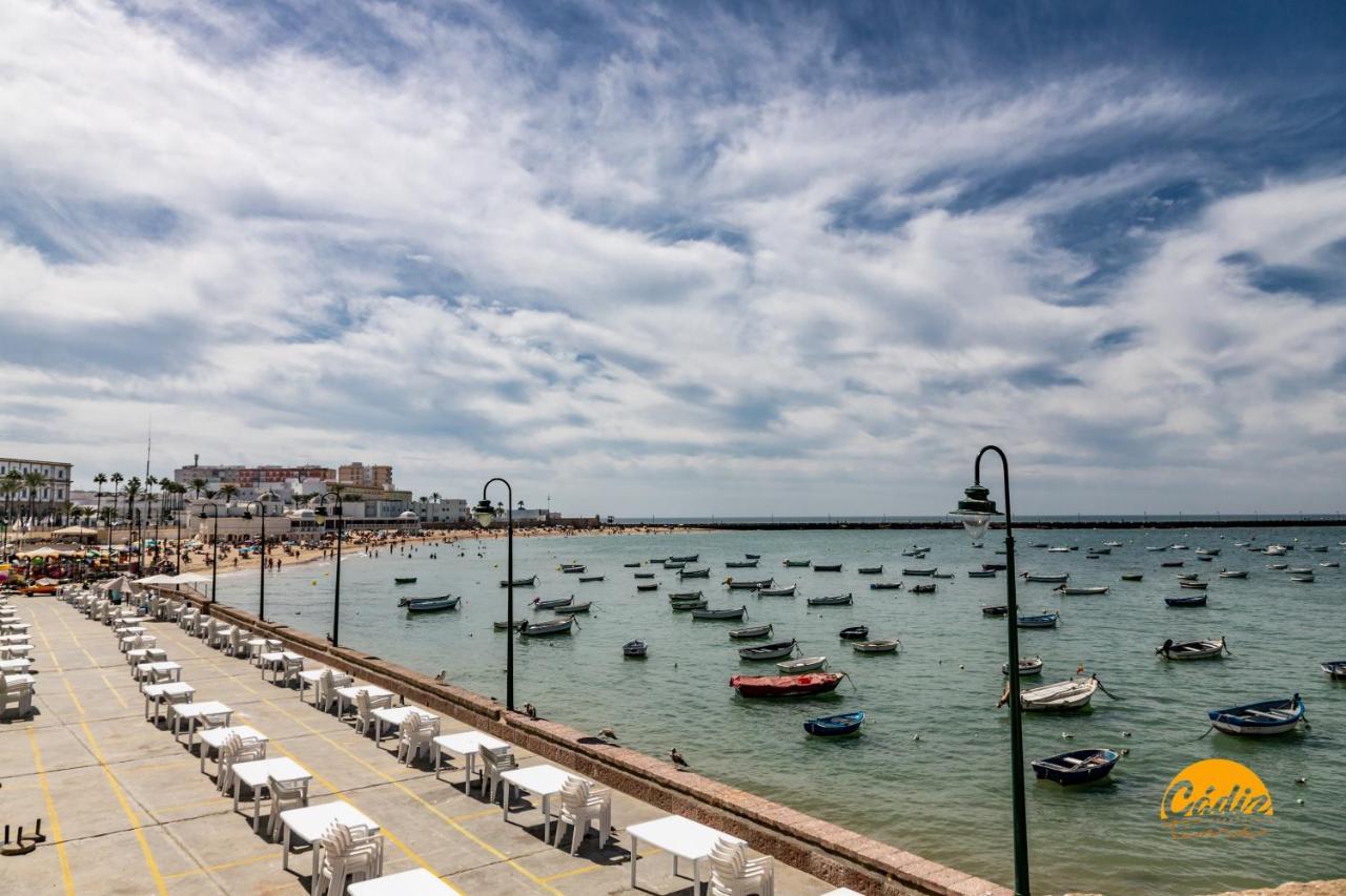 Casa Patio La Vina By Cadiz Time Διαμέρισμα Εξωτερικό φωτογραφία